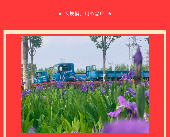【濟寧大運河駕?！恐戮磩趧诱?，小車價學大車，報名就現在！ (圖3)