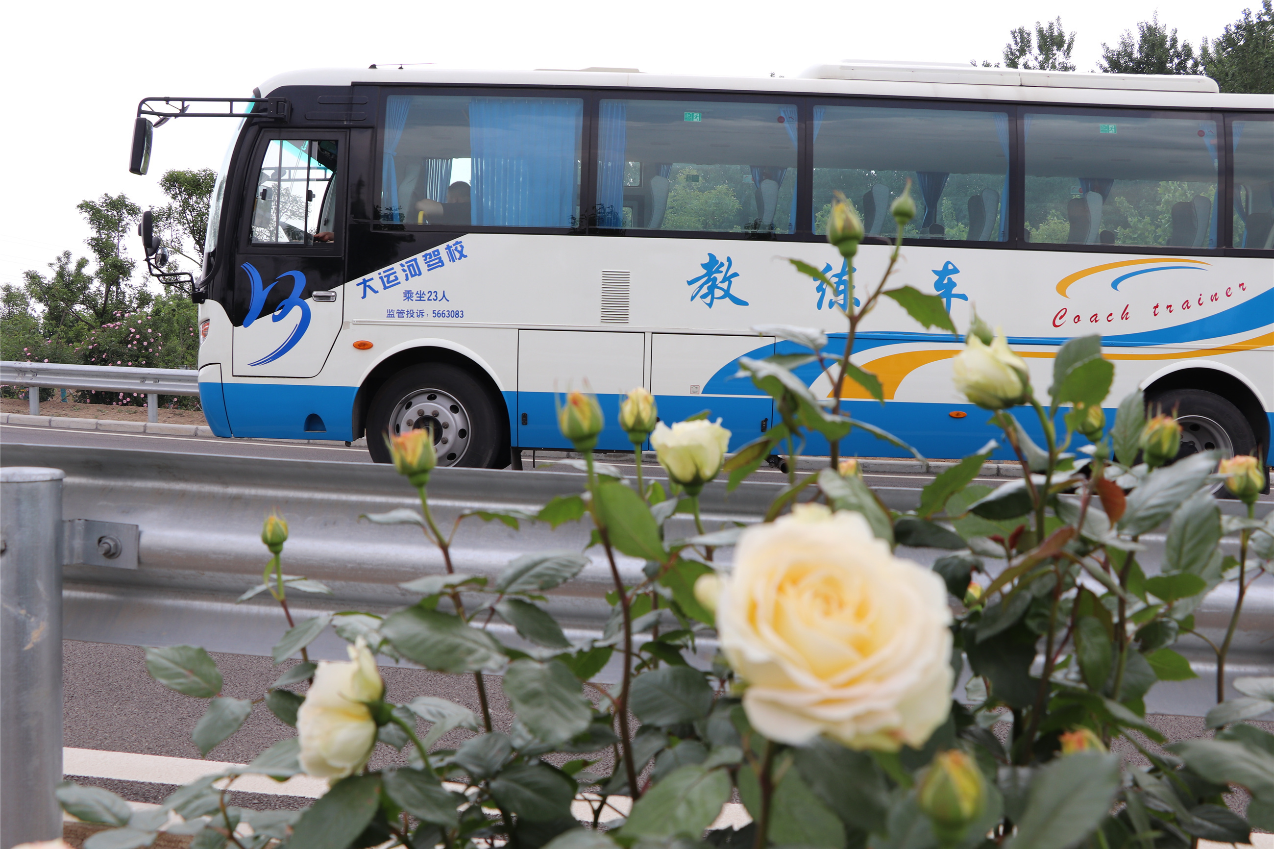 【濟寧大運河駕?！啃乱帉嵤┖篑{駛證實習期到底還有沒有？ (圖3)