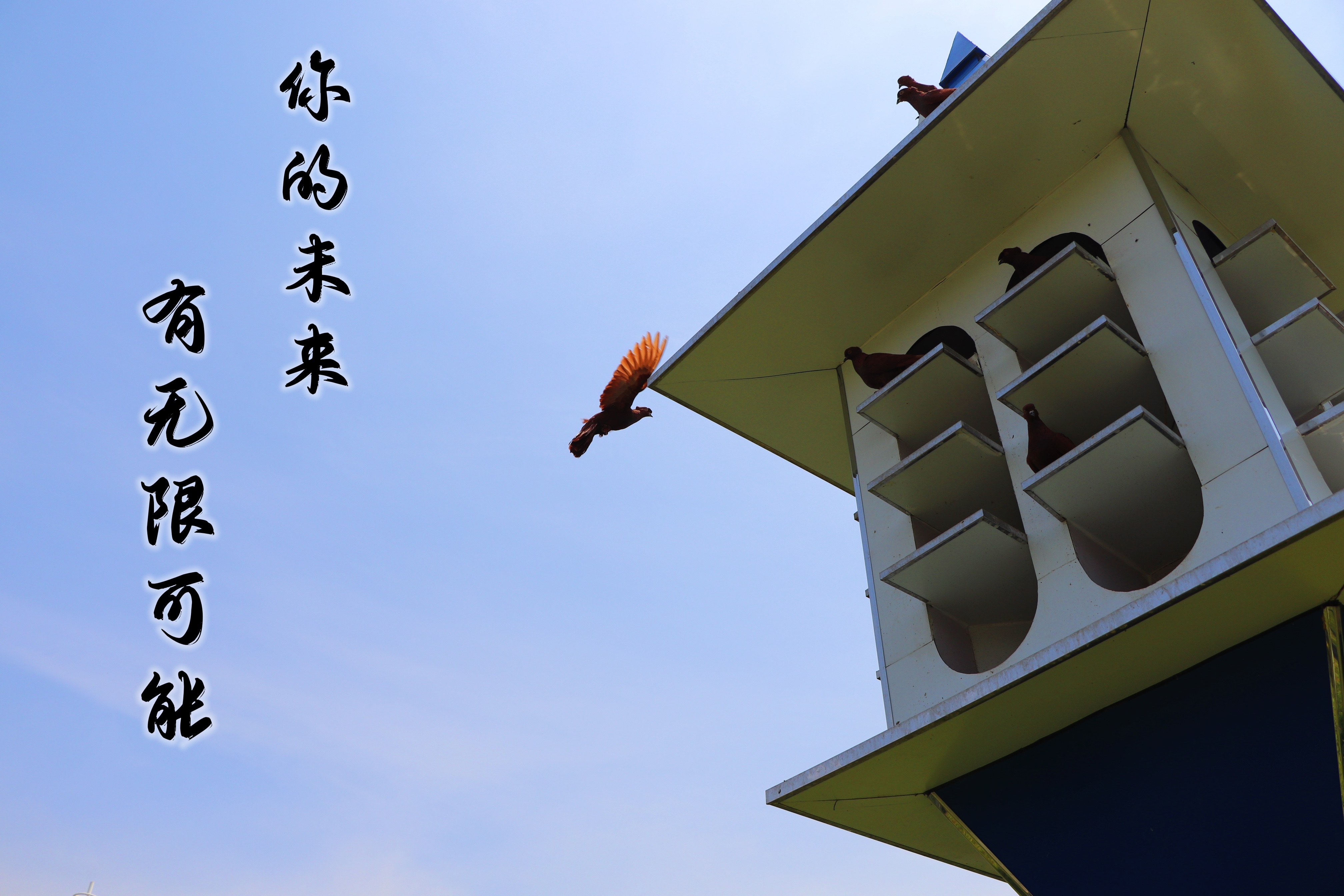【濟寧大運河駕?！壳の炊?，超越自我無悔青春！(圖3)