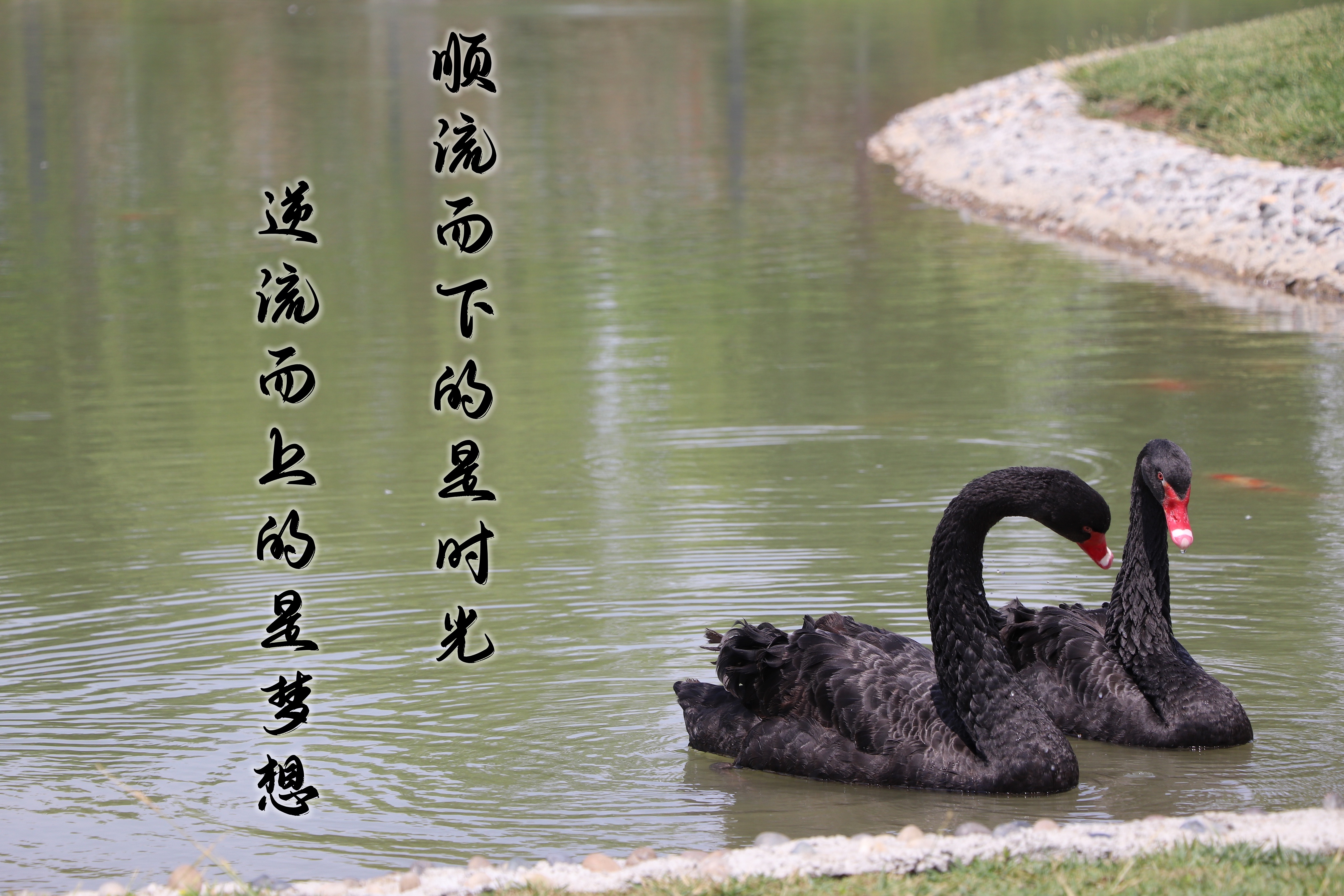 【濟寧大運河駕?！壳の炊?，超越自我無悔青春！(圖5)