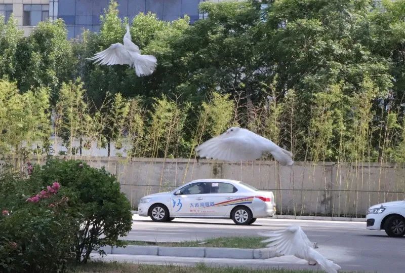 【濟寧大運河駕?！拷鹎锞旁聦W車季，期待與您的相遇~(圖2)