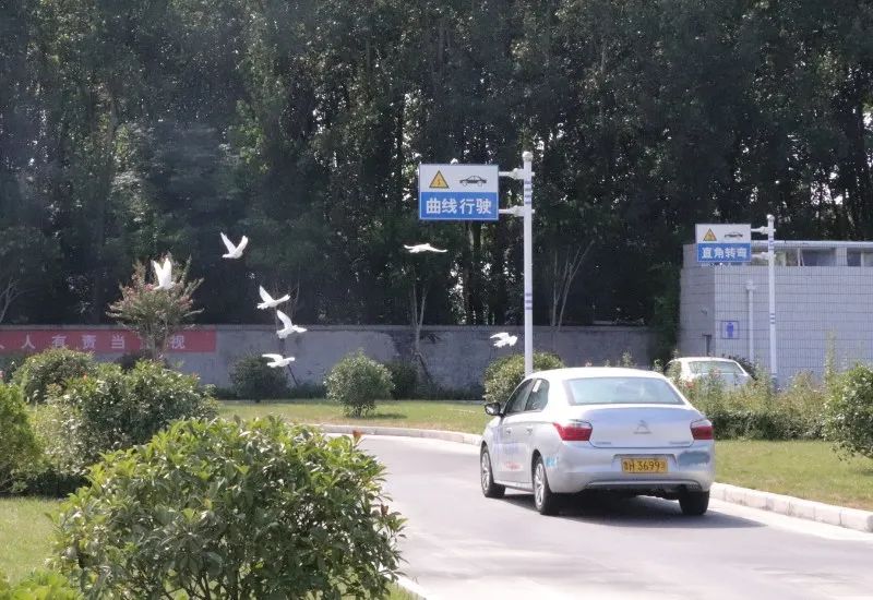 【濟寧大運河駕?！拷鹎锞旁聦W車季，期待與您的相遇~(圖3)