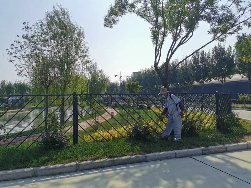 【濟寧大運河駕?！棵篮脤⒅羱 “凈”待復學！(圖9)