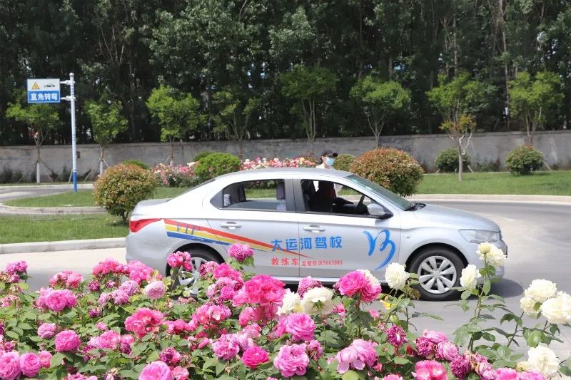 【濟寧大運河駕?！磕赣H節丨感恩有您，陪我長大(圖2)