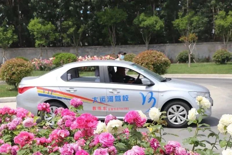 【濟寧大運河駕?！康谑畬谩皩W車夏令營”火爆開啟！(圖2)