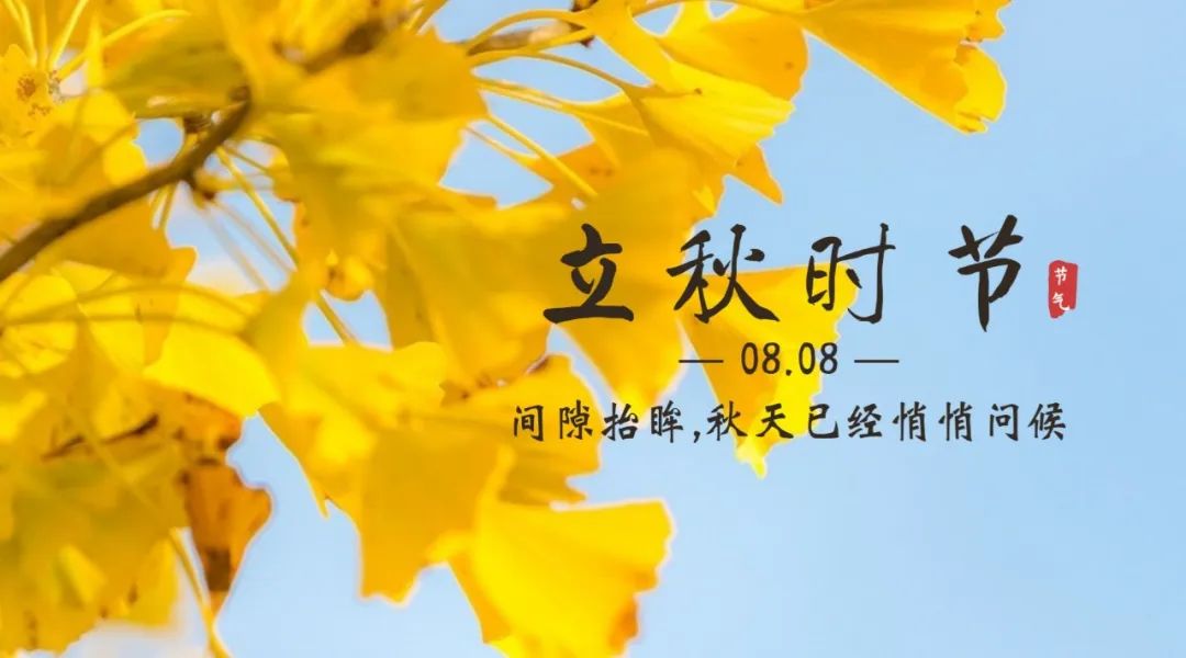 【濟寧大運河駕?！勘Ａ粝牡臒崆?，奔向收獲的秋天！(圖3)