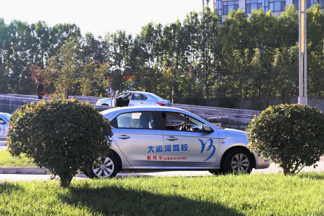 【濟寧大運河駕?!坎鸥型砬?,忽而立冬丨共賞校園初冬美景~(圖7) 【濟寧大運河駕?!坎鸥型砬?,忽而立冬丨共賞校園初冬美景~(圖7)