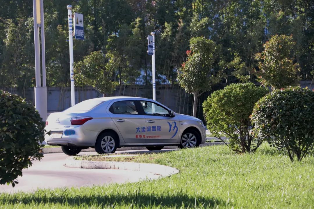 【濟寧大運河駕?!坎鸥型砬?,忽而立冬丨共賞校園初冬美景~(圖10) 【濟寧大運河駕?!坎鸥型砬?,忽而立冬丨共賞校園初冬美景~(圖10)