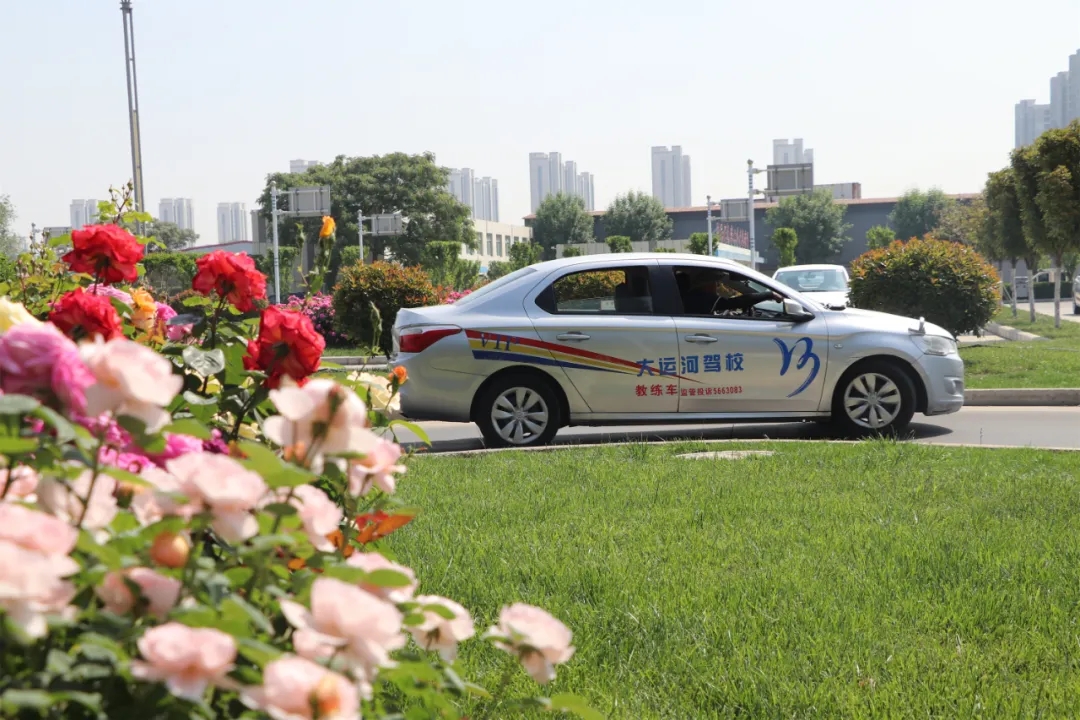 【濟寧大運河駕?！俊俺跸摹毙∶篮?，五月學車正當時~(圖2)