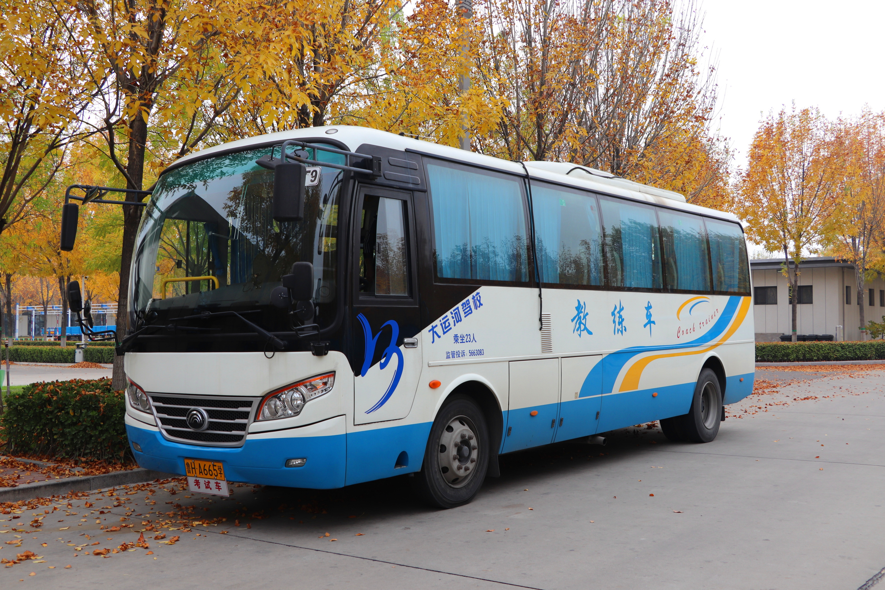 重磅福利！A1/A3限時鉅惠開啟：學大車3999！(圖1)