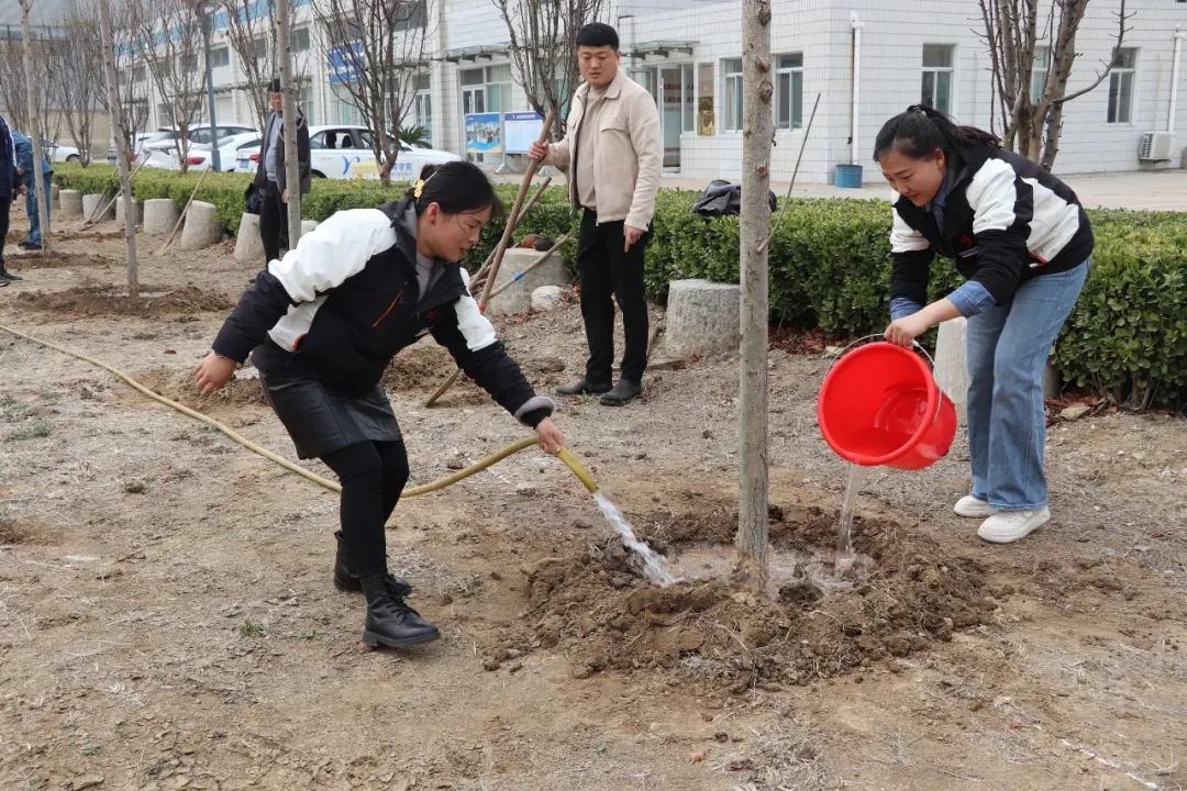 駕校春日行動：“植”此青綠，共筑綠意之路(圖9)