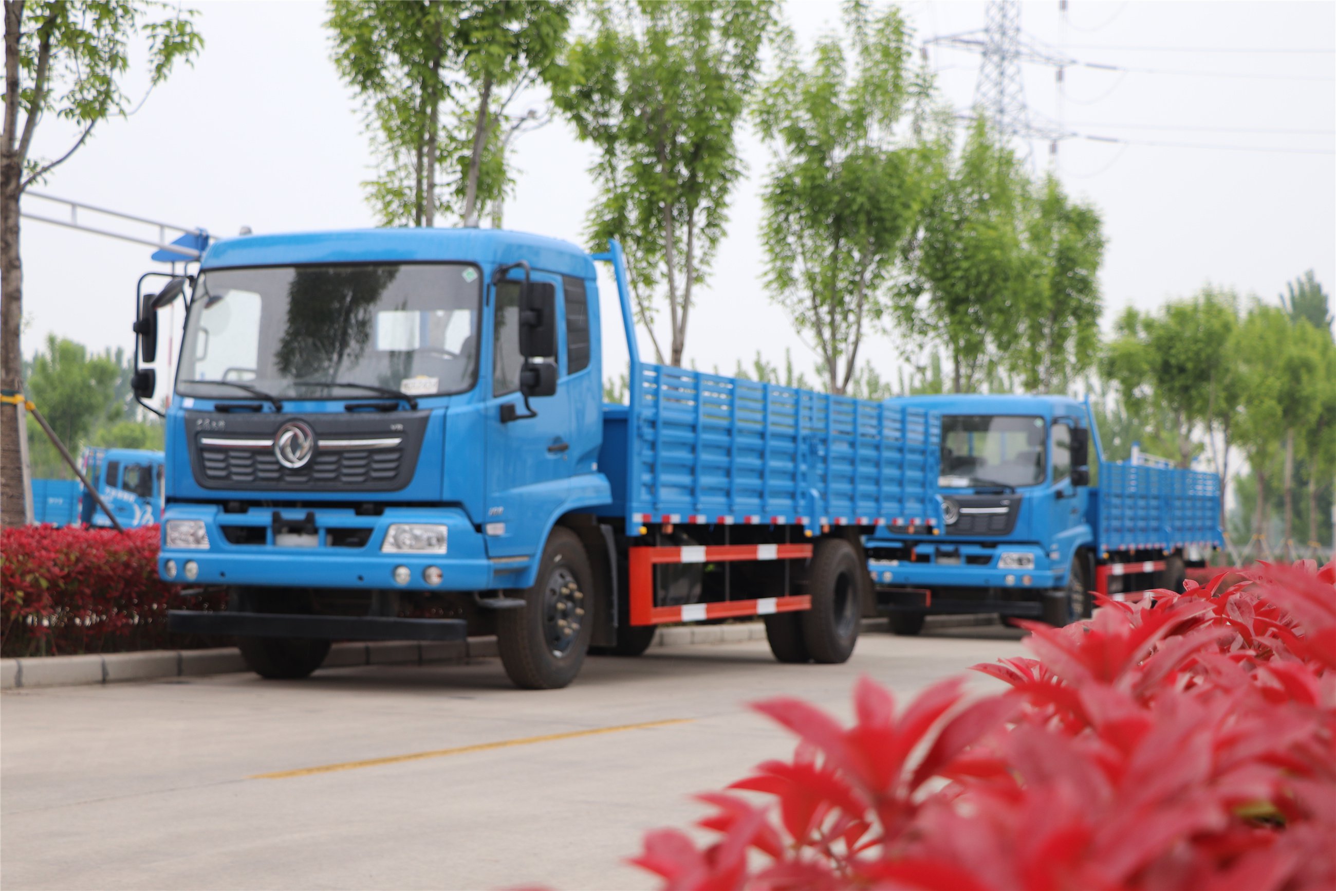 再增新車！助力學員快速拿證。(圖1)